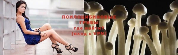 гашик Бронницы