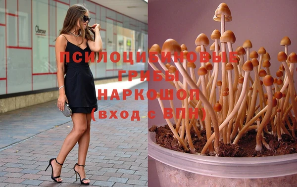скорость Богородицк