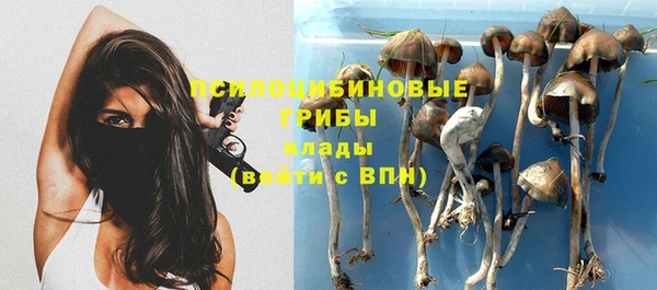 скорость Богородицк