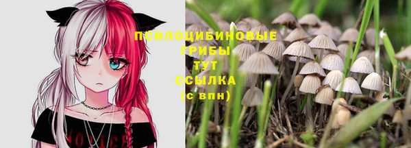 шишки Белоозёрский
