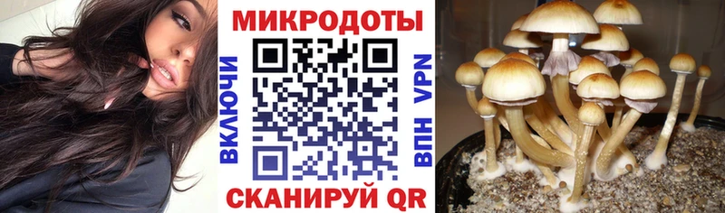 как найти наркотики  Калининск  hydra ТОР  Галлюциногенные грибы Psilocybe 